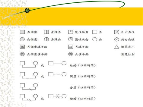 家庭關係分析|家系圖